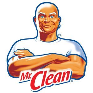 Prevent Plugin Update Notification Cleanest but Not 100