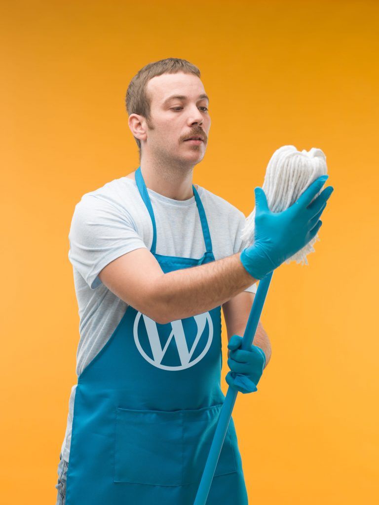 WordPress Spring Cleaning