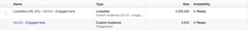 engagers and lookalike audiences
