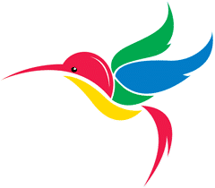 Google's Hummingbird