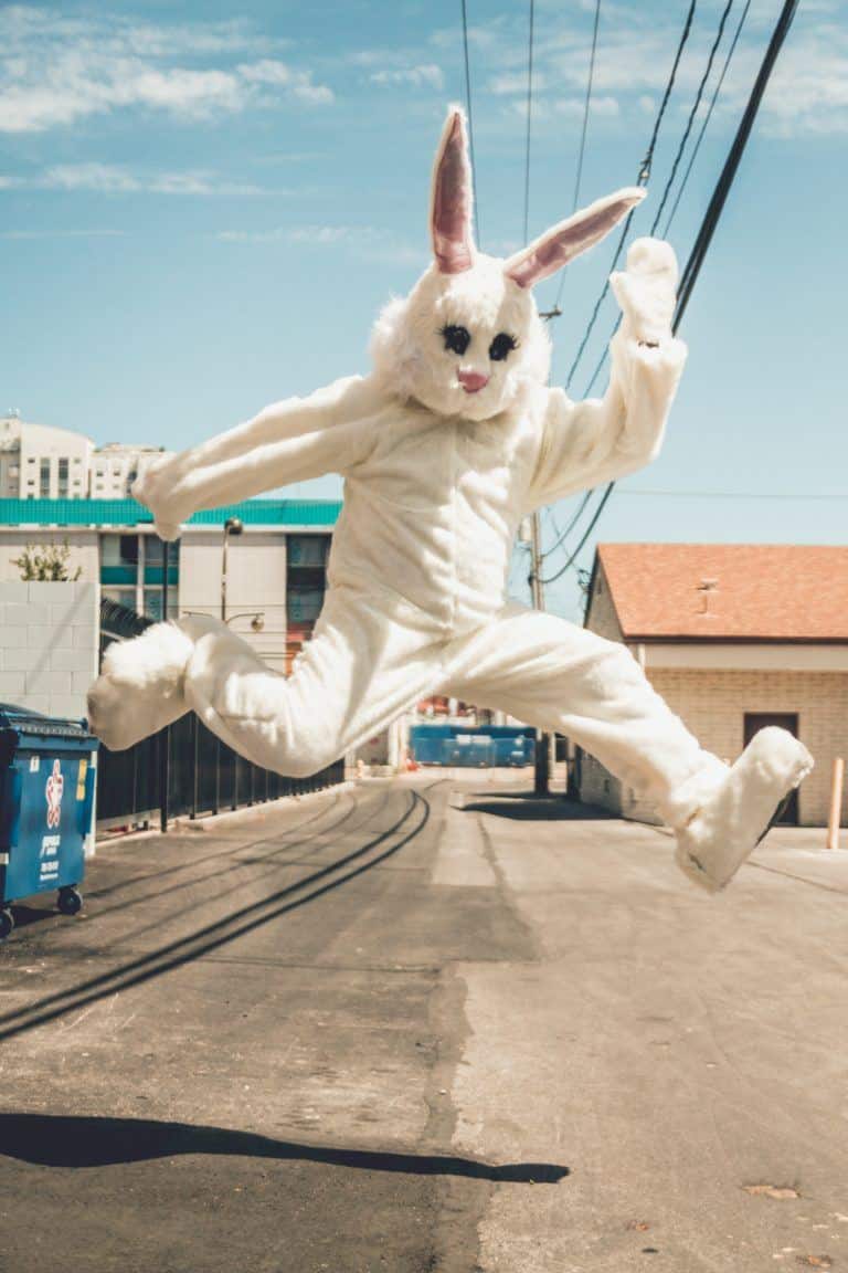 high bounce rate