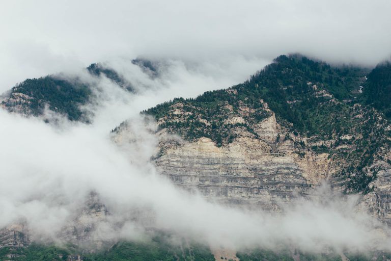 Provo Digital Marketing